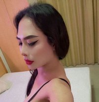 Best n Position DUBAI - Transsexual escort in Dubai
