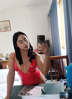 Top and Bottom 4'9 Height - Transsexual escort in Pyeongtaek Photo 12 of 18