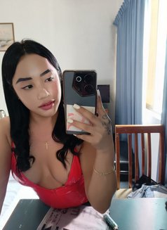 Top and Bottom 4'9 Height - Transsexual escort in Pyeongtaek Photo 14 of 18