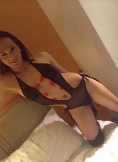 Top and Bottom Asian Huge Hardcock - Transsexual escort in Kuala Lumpur Photo 4 of 15