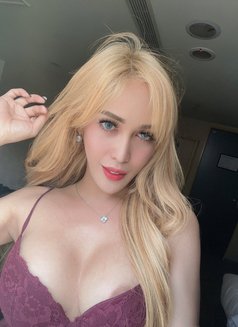 Top and Bottom Best GFE - Acompañantes transexual in Taipei Photo 9 of 11