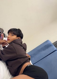 Top and Bottom Little Boy - Transsexual escort in Riyadh Photo 2 of 4