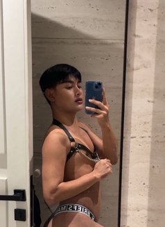 Top and Bottom Little Boy - Acompañantes transexual in Riyadh Photo 8 of 9