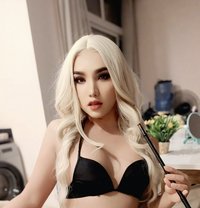 Synee best Top🇯🇪 - Acompañantes transexual in Al Manama