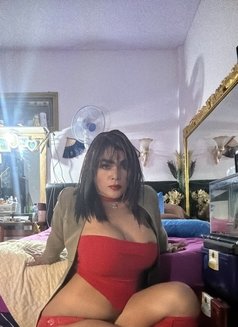 TOP Best Casting Sexy Hottes - Transsexual escort in Bali Photo 10 of 13