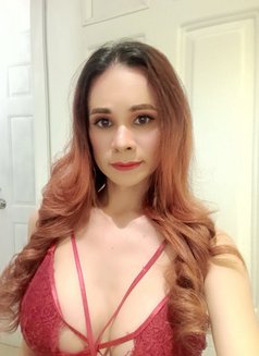 Top & Bottom - Acompañantes transexual in Ho Chi Minh City Photo 2 of 21