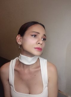 Top & Bottom - Acompañantes transexual in Ho Chi Minh City Photo 4 of 21