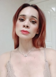 Top & Bottom - Acompañantes transexual in Ho Chi Minh City Photo 8 of 21