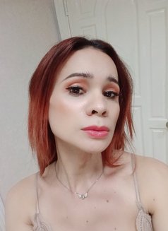 Top & Bottom - Acompañantes transexual in Ho Chi Minh City Photo 10 of 21