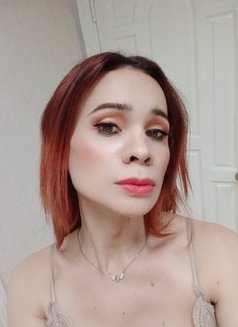 Top & Bottom - Acompañantes transexual in Ho Chi Minh City Photo 11 of 21