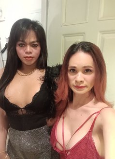 Top & Bottom - Acompañantes transexual in Ho Chi Minh City Photo 16 of 21