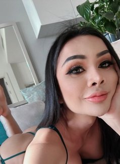 Top&Bottom Full Functions Cock Ladyboy - Transsexual escort in Bangkok Photo 29 of 30