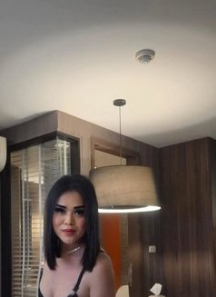 TOP/BOTTOM ICON PREMIUM SHEMALE - Acompañantes transexual in Islamabad Photo 22 of 25