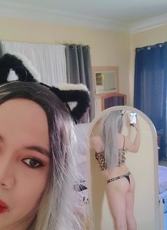 Lovely Jessy 69🇵🇭 top&bot - Transsexual escort in Muscat Photo 10 of 10