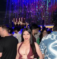 TOP & BOTTOM-WEBCAM HOT VIDEOS - Transsexual escort in Bangkok