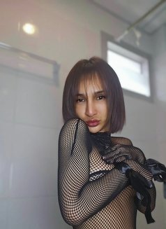 Top & Bottom with small size :sex:party: - Acompañantes transexual in Bangkok Photo 16 of 17