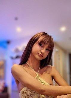 Top & Bottom with small size :sex:party: - Acompañantes transexual in Bangkok Photo 13 of 13