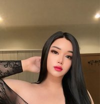 Bunny Amina - Transsexual escort in Jeddah