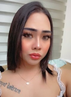Gwery fuckhard - Transsexual escort in Pattaya Photo 4 of 10