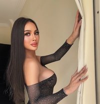 TOP DIVA JUST ARRIVED 🇹🇭 - Transsexual escort in Al Manama