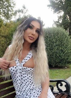 Extreme Roya - Transsexual escort in Baku Photo 21 of 30