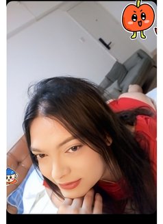 TOP Filipino Ts, Just arrived - Transsexual escort in Macao Photo 25 of 29