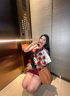 DISCRETION,INTELLIGENCE,PERSONALITY - Transsexual escort in Kuala Lumpur Photo 24 of 30