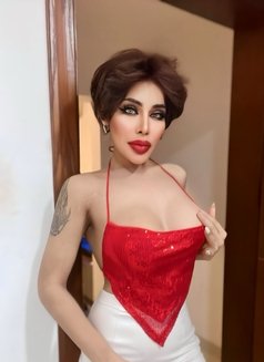 Top good / bottom big dick 69 - Acompañantes transexual in Al Manama Photo 15 of 16