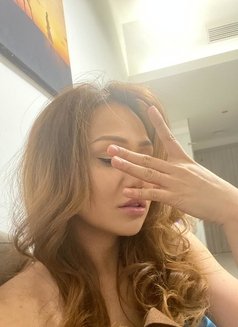 TOP,Hard,crazy cum Filipina - Transsexual escort in Melbourne Photo 16 of 18
