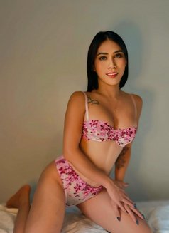 Top Huge cock And Kinkiest play 🇵🇭 - Transsexual escort in Bangkok Photo 1 of 18
