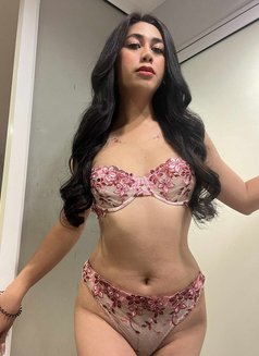 Top lady Boy, available now.. - Acompañantes transexual in Bangkok Photo 25 of 26
