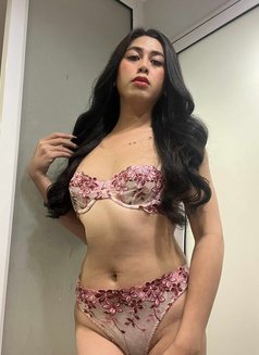Top lady Boy, available now.. - Acompañantes transexual in Bangkok Photo 26 of 26