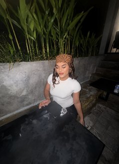 Shania🧊 - Acompañantes transexual in Bali Photo 1 of 11