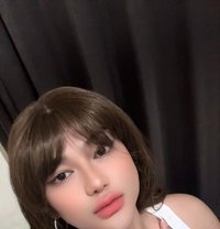 Big Massive Hard Cock Ladyboy - Transsexual escort in Bali