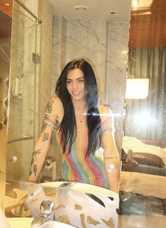 TOP LADYBOY (DRAIN MY BALLS) - Transsexual escort in Tel Aviv Photo 25 of 27