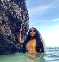 QinDom - Transsexual escort in Bali
