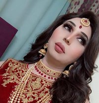Top Mistress Jeddah | 9 Inches - Transsexual escort in Jeddah