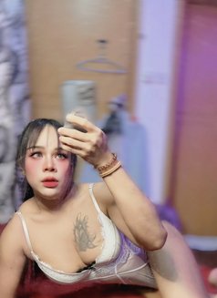 HAIFA•TOP”Ladyboy•🇹🇭 - Transsexual escort in Muscat Photo 17 of 18