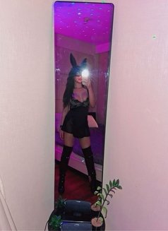 #Top Real big cock - Transsexual escort in Phuket Photo 7 of 12