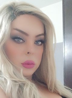 QueenCindy - Transsexual escort in Kuwait Photo 1 of 8