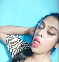 Top Shemale Big Size - Transsexual escort in Kolkata