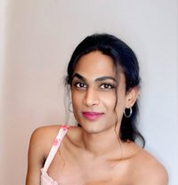 Mistress Top BbC shemale In Madiwala - Transsexual escort in Bangalore