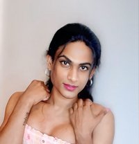 Mistress Top BbC shemale In Madiwala - Transsexual escort in Bangalore