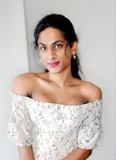 Mistress Top BbC shemale In Madiwala - Transsexual escort in Bangalore Photo 21 of 29