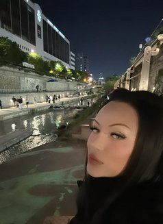 TOP Tasha - Transsexual escort in Singapore Photo 25 of 28