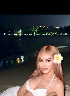 TOP TS BIG COCK I AM YOUR DREAM - Acompañantes transexual in Osaka Photo 21 of 21