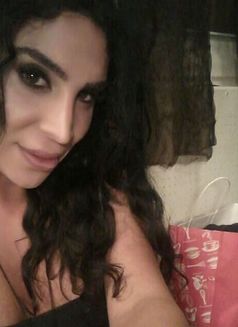 Top Ts Elissa - Transsexual escort in Beirut Photo 1 of 16