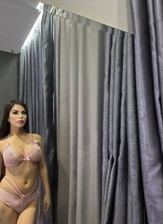 Top Ts just landed lot of cum w/ poppers - Acompañantes transexual in Kuala Lumpur Photo 18 of 19