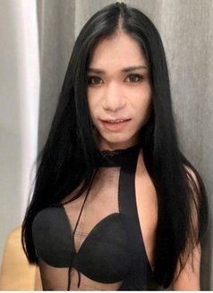 High Ladyboy Big Cock Bangkok - Transsexual escort in Bangkok Photo 9 of 9