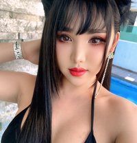 🇻🇳 Top Vip 🇻🇳 same picture 100% - Transsexual escort in Al Manama